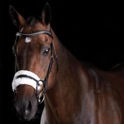 Weatherbeeta Collegiate Comfitec Sheepskin Bridle - Black