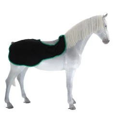 Weatherbeeta Fleece Ausreitdecke - Black/green , S -Weatherbeeta WeatherBeeta Fleece Exercise Sheet Black Green 8458 1