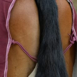 Weatherbeeta Sherpa Fleece Cooler Standard - Maroon/white , 105 -Weatherbeeta WeatherBeeta Sherpa Fleece Cooler Standard Neck Maroon White 8441 4