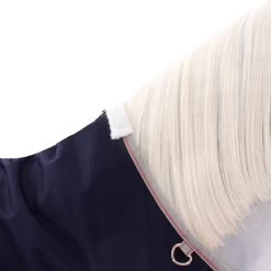 Weatherbeeta Comfitec Essential Standard Lite Plus 50g - Navy/silver/red , 155 13 Weatherbeeta Comfitec Essential Standard Lite Plus 50g - Navy/silver/red , 155 -Weatherbeeta Weatherbeeta ComFiTec Essential Standard Neck Lite Plus navy silver red 6378 3