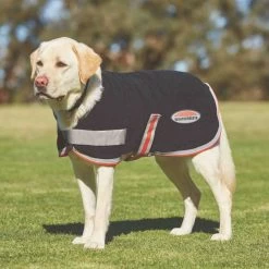Weatherbeeta Comfitec Therapy-Tec Fleece Hundemantel - Black/silver/red