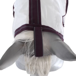 Weatherbeeta Comfitec Essential Mesh Combo - Grey/Blue/Green, 140 -Weatherbeeta Weatherbeeta Comfitec Essential Mesh Combo 9601 4