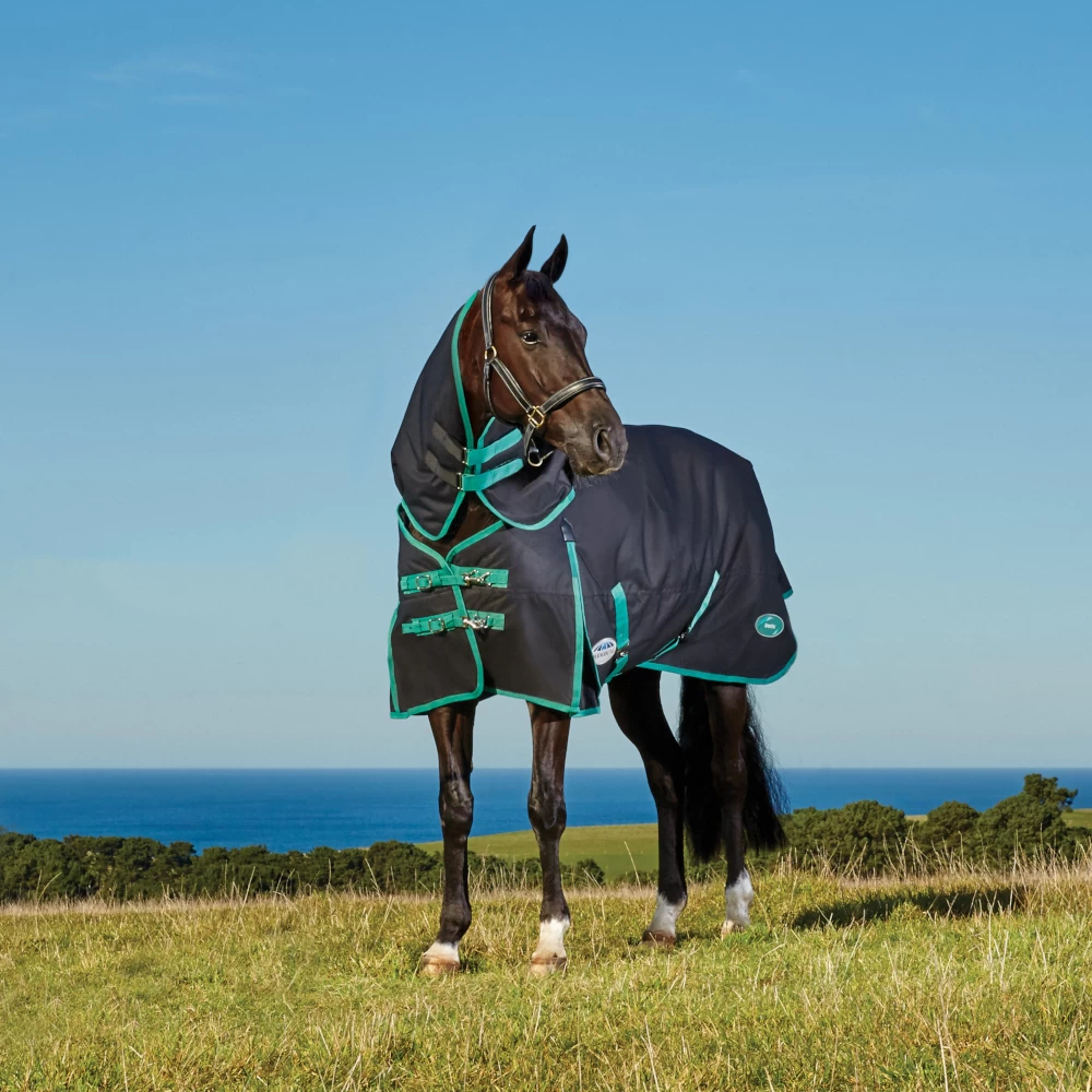 Weatherbeeta Green-Tec 900D Detach-A-Neck Lite Plus 50g - Black/bottle Green , 120 2 Weatherbeeta Green-Tec 900D Detach-A-Neck Lite Plus 50g - Black/bottle Green , 120 – Bild 2