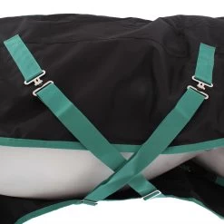 Weatherbeeta Green-Tec 900D Detach-A-Neck Lite Plus 50g - Black/bottle Green , 120 26 Weatherbeeta Green-Tec 900D Detach-A-Neck Lite Plus 50g - Black/bottle Green , 120 -Weatherbeeta Weatherbeeta Green Tec 900D Detach A Neck Lite Plus 50g Black Bottle Green 7547 3