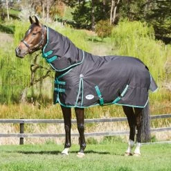 Weatherbeeta Green-Tec 900D Detach-A-Neck Medium 220g - Black/bottle Green , 120 -Weatherbeeta Weatherbeeta Green Tec 900D Detach A Neck Medium 220g Black Bottle Green 7546 2