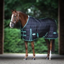 Weatherbeeta Green-Tec Stalldecke Standard Medium/Lite 150g - Black/bottle Green , 135