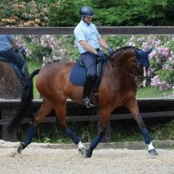 Weatherbeeta Prime Schabracke Dressur -Weatherbeeta Weatherbeeta Prime Dressur Schabracke 9534 3