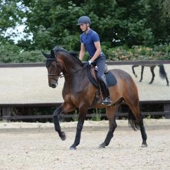 Weatherbeeta Prime Schabracke Springen 7 Weatherbeeta Prime Schabracke Springen -Weatherbeeta Weatherbeeta Prime Springen Schabracke 9533 3