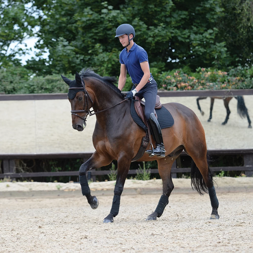 Weatherbeeta Prime Schabracke Springen 4 Weatherbeeta Prime Schabracke Springen – Bild 4